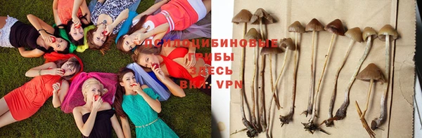 метадон Новодвинск