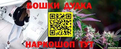 ALPHA PVP Беслан