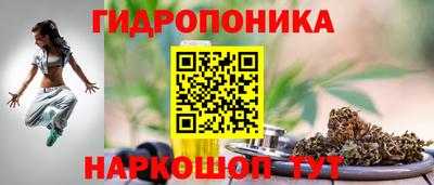 гидра Бийск