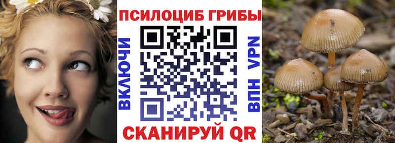 закладка  Североуральск  Псилоцибиновые грибы Magic Shrooms 