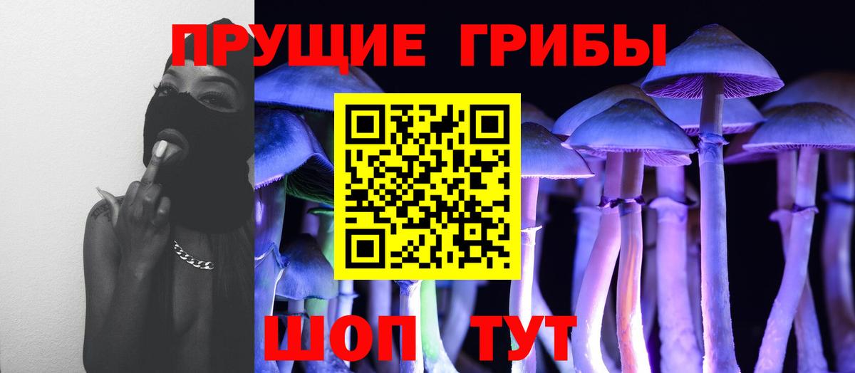 Псилоцибиновые грибы Psilocybine cubensis Североуральск