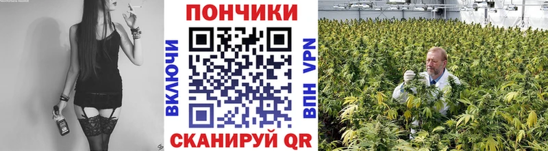 закладка  Североуральск  Бошки Шишки Amnesia 
